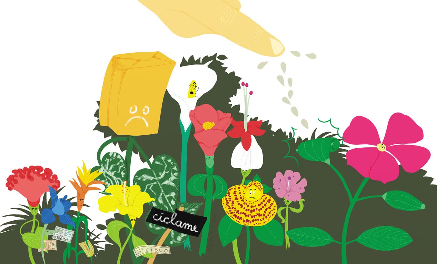 Fullspread artwork