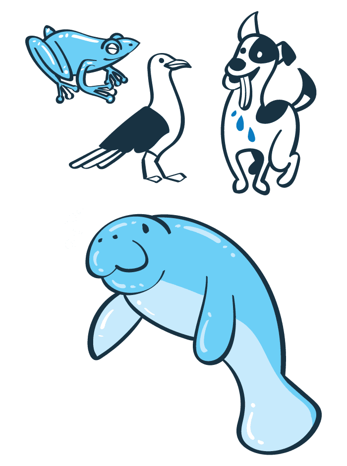 Illustration of volume 1 - Frog, seagull, dog, manatee
