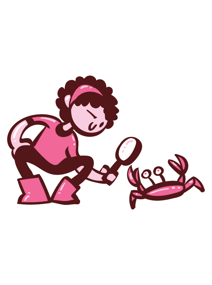 Illustration of volume 3 - Girl with a magnifying glass looking at a crab