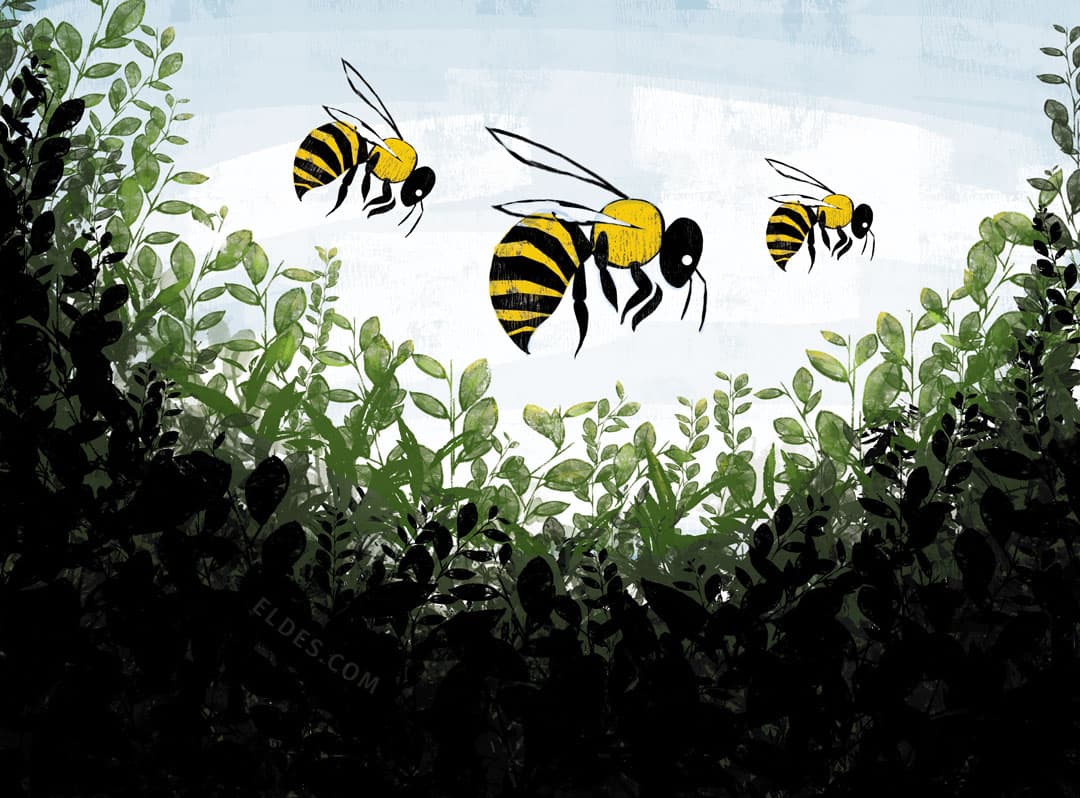 Illustration for "A florestas"