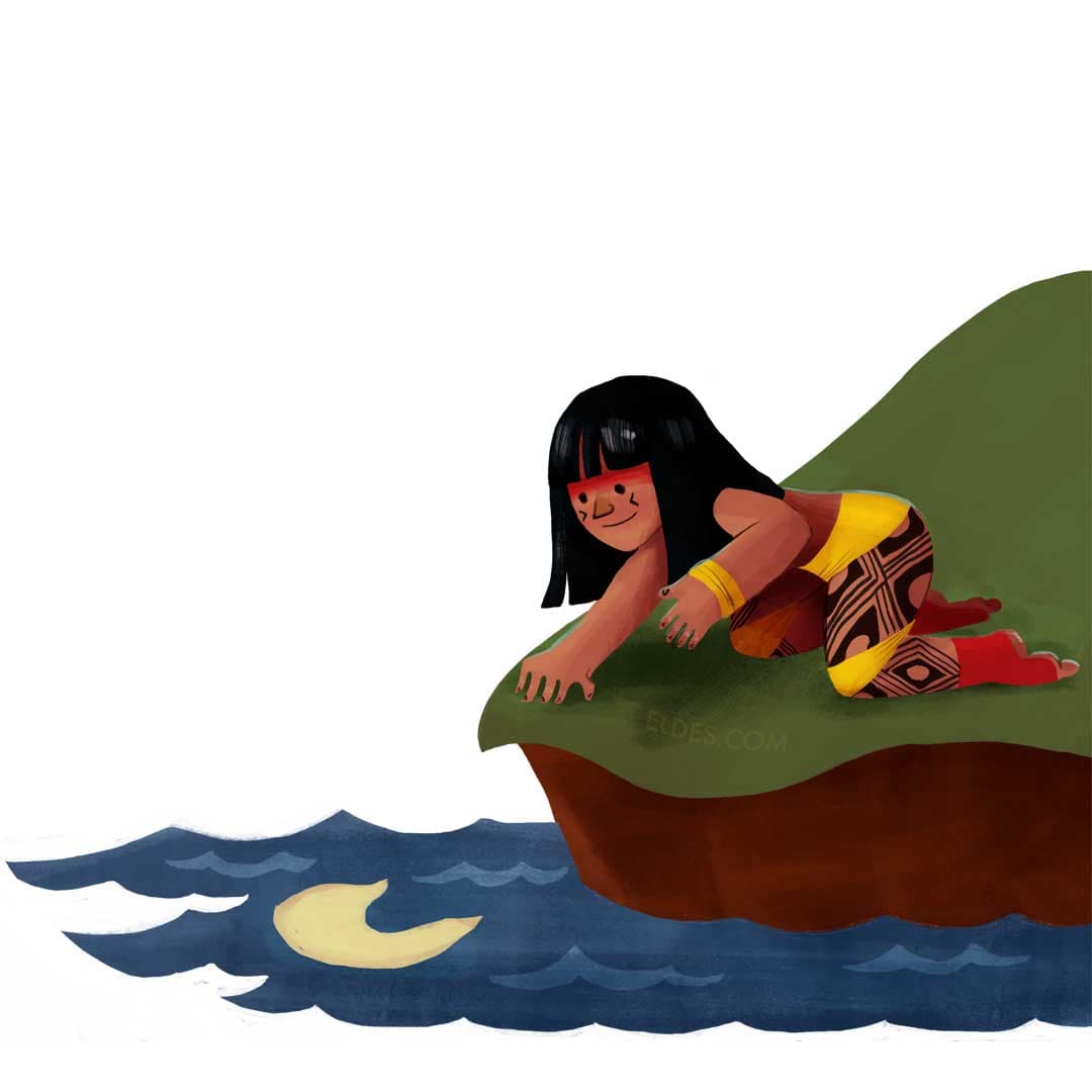 Illustration of vitoria regia