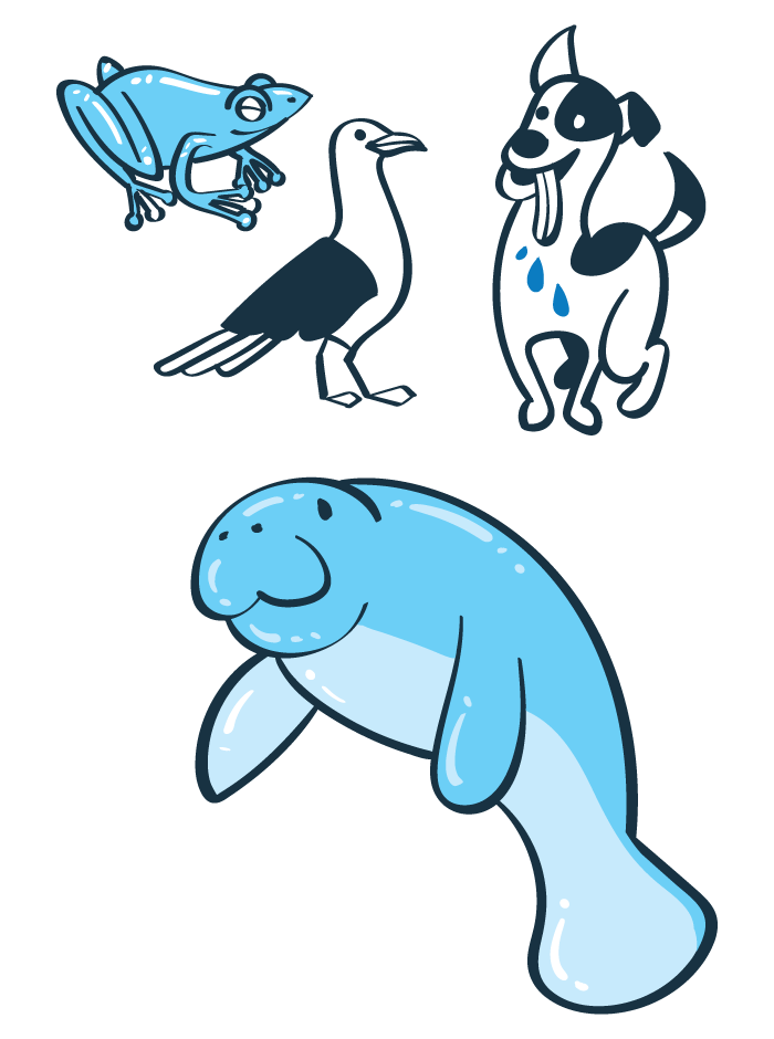 Illustration of volume 1 - Frog, seagull, dog, manatee